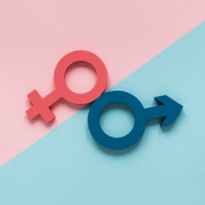 Sexualität: Vom Menschen zur Gesellschaft