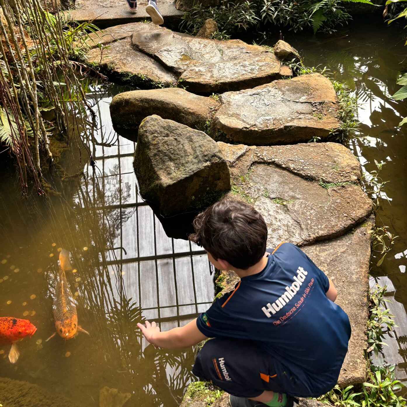 Projekt „Gefährliche Fische“ – G41A (2025)